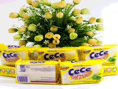 Почему металлический ершик лучше пластикового для уборки дома